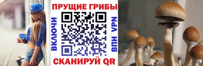 купить наркотик  Чусовой  Галлюциногенные грибы прущие грибы 